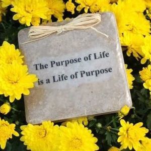 Meet your Posher, Dorene